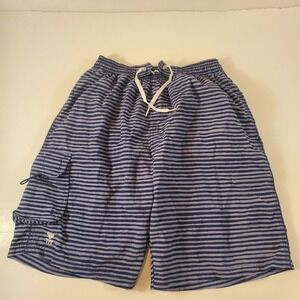 TYR Men Swim trunks shorts lined medium striped blue